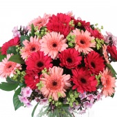 Zomers Gerbera Boeket