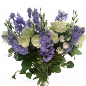 Delphinium Rozen Gezelschap
