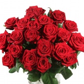 Cupido's Rozen