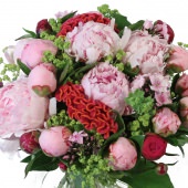 Roze Lente Pioenen
