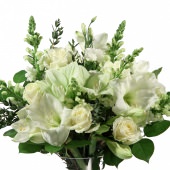 Luxueus Amaryllis Boeket